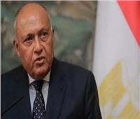 وزير الخارجية: ترحيب عربي بقرارات حكومة سوريا لدخول المساعدات الإنسانية