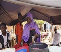 الأمم المتحدة: العقوبات تؤثر على الإمدادات الغذائية للنيجر