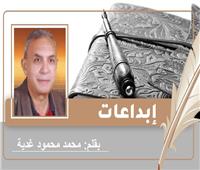 «عازف الجيتار العجوز».. قصة قصيرة للكاتب محمد محمود غدية