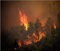 قتيل في حرائق الغابات في اليونان وفرق الإطفاء تكافح لإخماد النيران