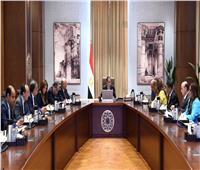 رئيس الوزراء يتابع سير العمل بمدينة الأثاث بدمياط وسبل الاستفادة منها