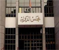 الإدارية العليا تؤيد مجازاة 2 موظفين بمحافظة بورسعيد