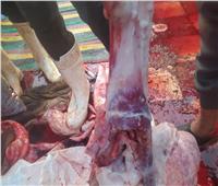 محافظ أسيوط: ضبط كميات من اللحوم الفاسدة خلال حملة بمركز الغنايم