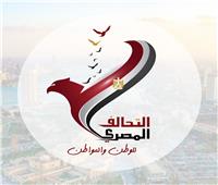 يضم وزراء وشخصيات عامة.. تفاصيل تدشين التحالف المصري للوطن والمواطن