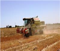 محافظ أسوان: مستهدفات توريد القمح تتخطى نسبة 198.3%