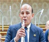 الانتخابات الرئاسية| النائب عمرو القطامي : الرئيس السيسي خرج بالدولة المصرية لبر الأمان