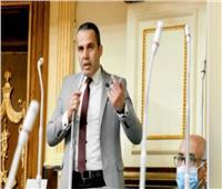 رضا البنا: انضمام مصر لتجمع «بريكس» يحسن المؤشرات الاقتصادية 