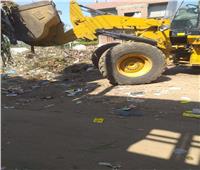 محافظ أسيوط: رفع 850 طن مخلفات خلال حملات نظافة بـ 6 مراكز