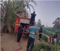 جهود استمرت 5 ساعات.. السيطرة على حريق بأشجار النخيل في أسوان