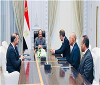 السيسي: مصر تتطلع لتعزيز التعاون مع «بريتيش بيتروليوم» في مجالات الطاقة
