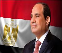تحالف الأحزاب المصرية يؤيد ترشح الرئيس السيسي في الانتخابات المقبلة
