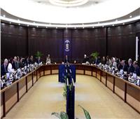 مجلس الوزراء يوافق على منح «سامسونج إلكترونيكس مصر» الرخصة الذهبية