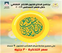 الغناء والشعر يصدحان فى ختام برنامج «صيف الإنتاج الثقافي» غدًا