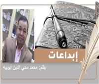 «قصص قصيرة» للكاتب الدكتور محمد محي الدين أبوبيه