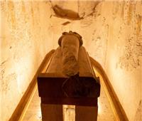 «رائحة الخلود» علماء يعيدون ابتكار العطر المستخدم في تحنيط نبيلة مصرية 