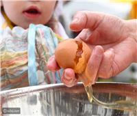 كسر البيض على رؤوس الأطفال يشعل السوشيال ميديا | فيديو