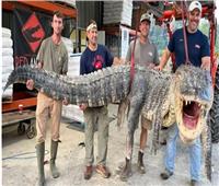 صيادون يتمكنوا من اصطياد أضخم تمساح على الإطلاق في ولاية ميسيسيبي