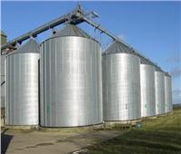 أستاذ اقتصاد زراعي: الدولة تعمل على تقليل نسبة الفاقد من القمح من خلال