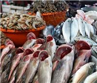 أسعار الأسماك في سوق العبور الخميس 7 سبتمبر 