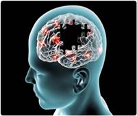 الأضرار المسؤولة عن مرض الزهايمر..  تظهر في غضون ساعات من ضربة على الرأس