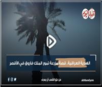 الهدية العراقية.. قصة تمور مزرعة الملك فاروق في الأقصر| فيديو