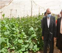 محافظ القليوبية يتفقد صوب زراعية وثلاجات حفظ الخضروات والفاكهة