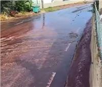 النبيذ الأحمر يحول شوارع مدينة برتغالية إلى أنهار..لهذا السبب |فيديو