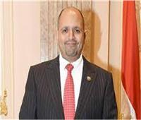 «طاقة النواب»: قرارات الرئيس أثلجت صدور المصريين وجاءت في توقيت مناسب