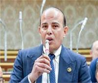 برلماني: مصر والإمارات بينهما روابط تاريخية والمحور الاقتصادي أولوية البلدين