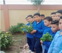 «البيئة» تعلن حصاد برنامج التربية البيئية بالمدارس خلال الأنشطة الصيفية