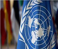 متحدث الخارجية: مصر ستتناول تأثير الأزمات الدولية على أفريقيا أمام الأمم المتحدة