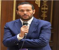 محمد حلاوة: أؤيد الرئيس السيسي لفترة رئاسية مقبلة لاستكمال مشروع النهضة والاستقرار