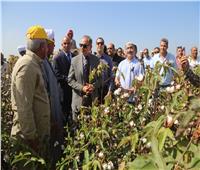 محافظ كفر الشيخ يشهد بدء جني محصول القطن وسط  المزارعين والمزارعات