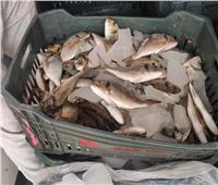 أسعار الأسماك بسوق العبور اليوم 28 سبتمبر