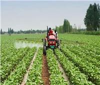 الزراعة: الدولة أنفقت مليارات لاستصلاح الأراضي ولا توجد أزمة غذائية