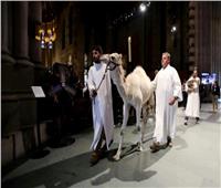 مباركة مئات الحيوانات خلال قداس في إحدى كاتدرائيات نيويورك