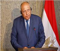 شكري: السياسة الخارجية المصرية قامت بدور إقليمي نشط على الساحة الأفريقية