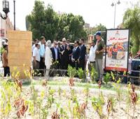 ضمن مبادرة «قنا تتجمل».. «الداودي» يشيد بأعمال تطوير حديقة ميدان مسجد ناصر