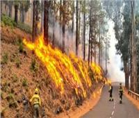 إجلاء 3000 شخص من تينيريفي الإسبانية بسبب حرائق غابات