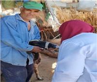 انطلاق قافلة طبية بيطرية توعوية مجانية بإحدى القرى بالشرقية