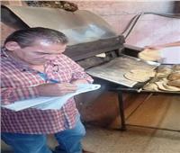 ضبط ١٦ مخبزًا مخالفًا للاشتراطات التموينية بمركز ديرب نجم بالشرقية 