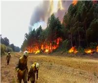 إجلاء الآلاف من منازلهم بسبب حرائق الغابات في جزيرة إسباينة 