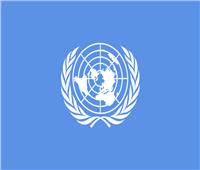 الأمم المتحدة: خطاب الكراهية الديني ينتشر دون رادع داخل وخارج الإنترنت