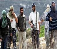 فلسطين تطالب بتفكيك ميليشيات المُستوطنين الإسرائيليين ورفع الغطاء السياسي عنها