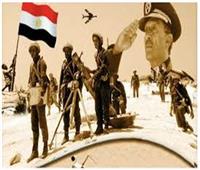  حماية المستهلك: انتصارات أكتوبر جسدت أصالة شعب مصر وقواته المسلحة الباسلة