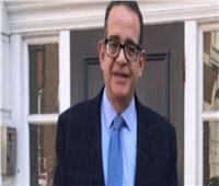 عضو بمجلس الشيوخ: الدولة المصرية راسخة ولديها مؤسسات وطنية 
