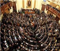محمد الصمودي: بيان البرلمان الأوروبي يؤكد على نهجه المعادي لمصر وتضليل سافر للرأي العام الدولي