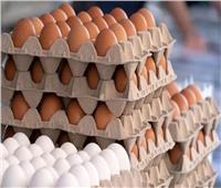 أسعار البيض بالأسواق اليوم 10 أكتوبر 2023
