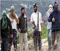 الخارجية الفلسطينية تحذر من مخاطر اعتداءات المستوطنين بالضفة الغربية