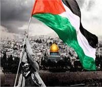 محمود مسلم: ما يحدث في غزة انتهاك للإنسانية
